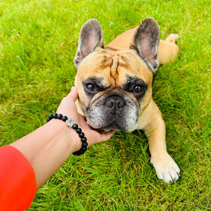 Meals For Paws (1 Bracelet = 5 Meals)