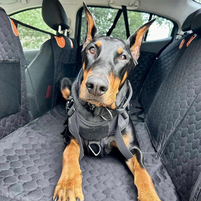 PetCorner™ - Car Seat Cover