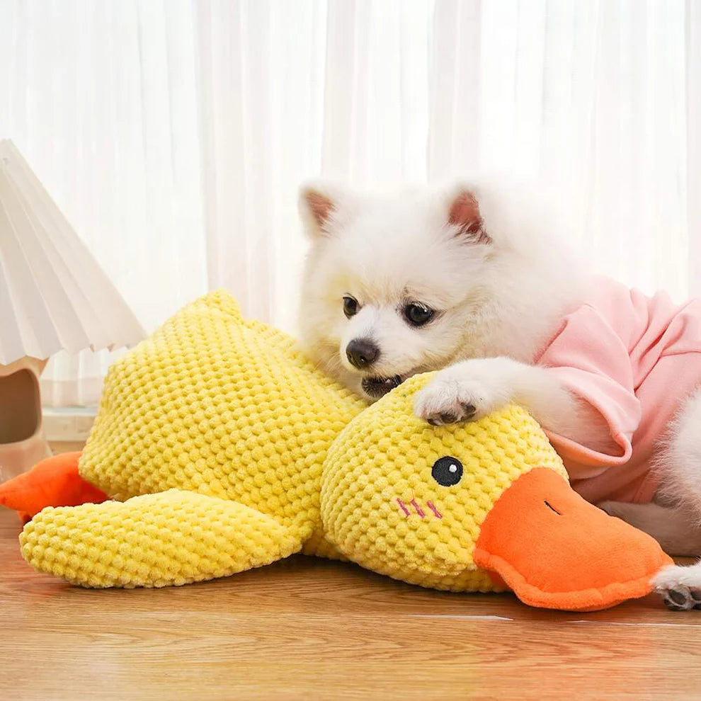 Calming Duck Toy