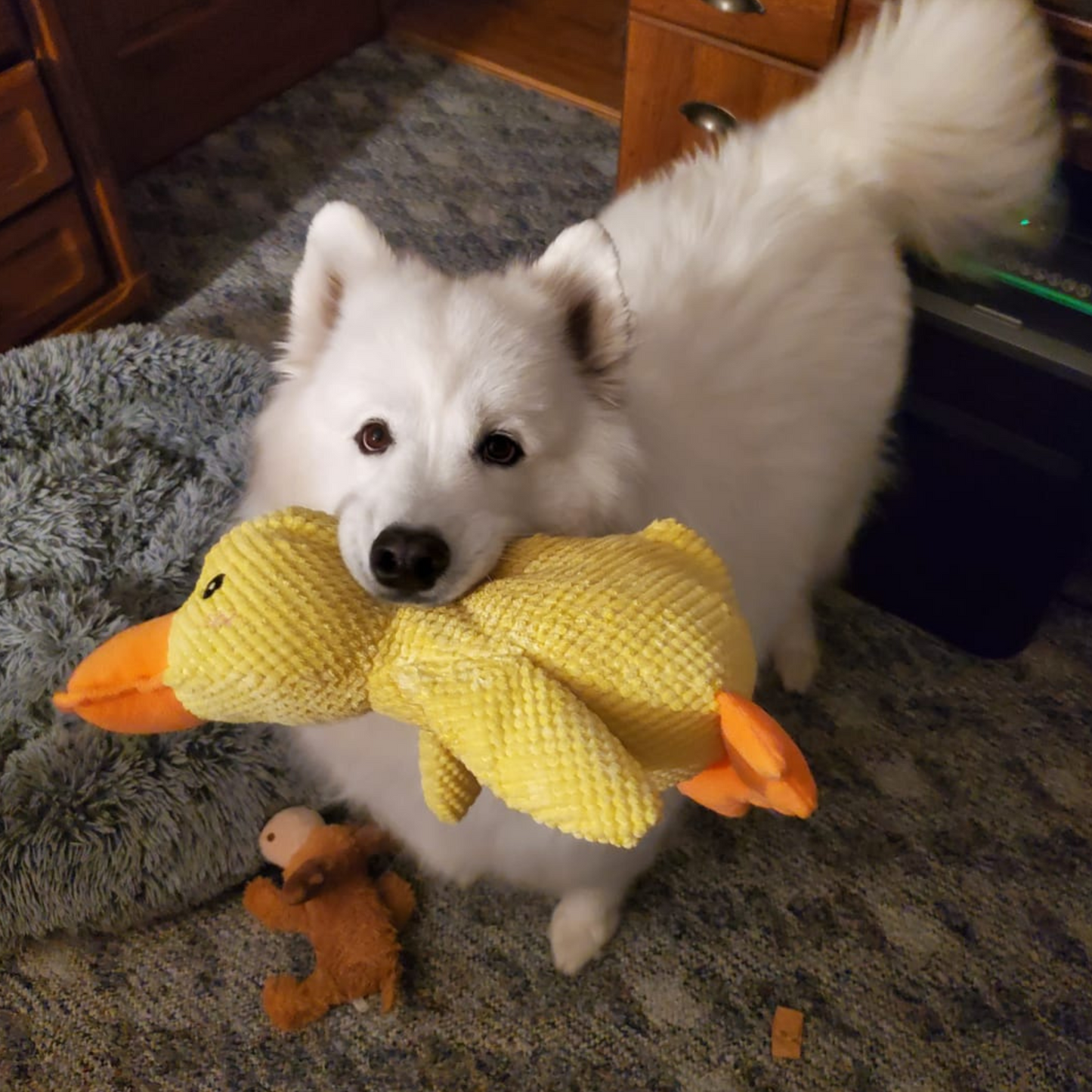 Calming Duck Toy